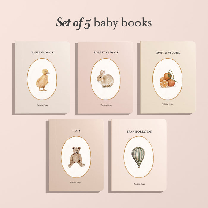 Our Little Library (VOL1): A Foundational Language Vocabulary Board Book Set