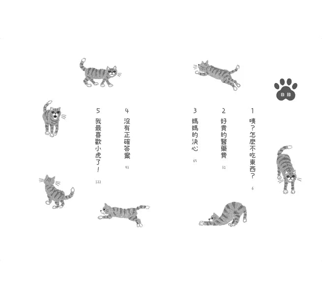 捨不得說再見：我家貓咪的故事