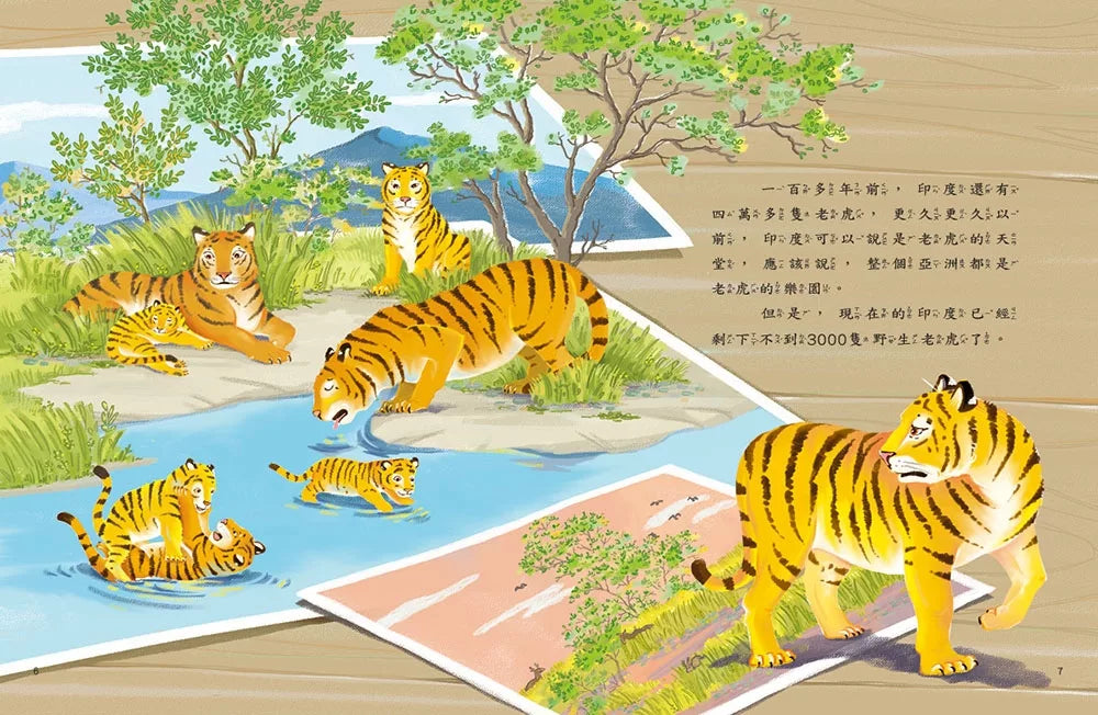 愛的故事．知識繪本15：老虎的守護者