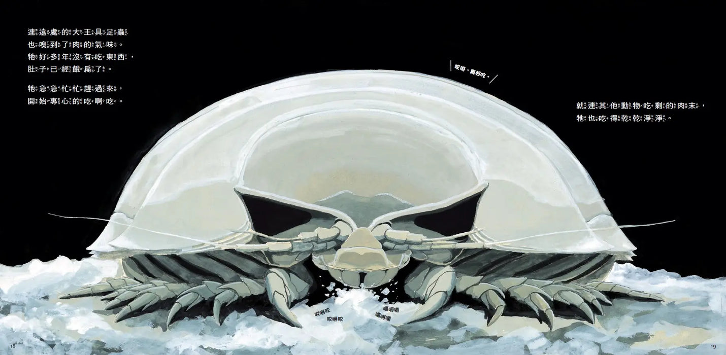 一頭鯨死了以後：鯨落