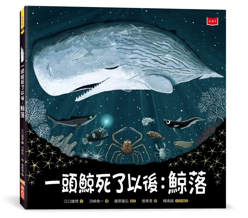 一頭鯨死了以後：鯨落