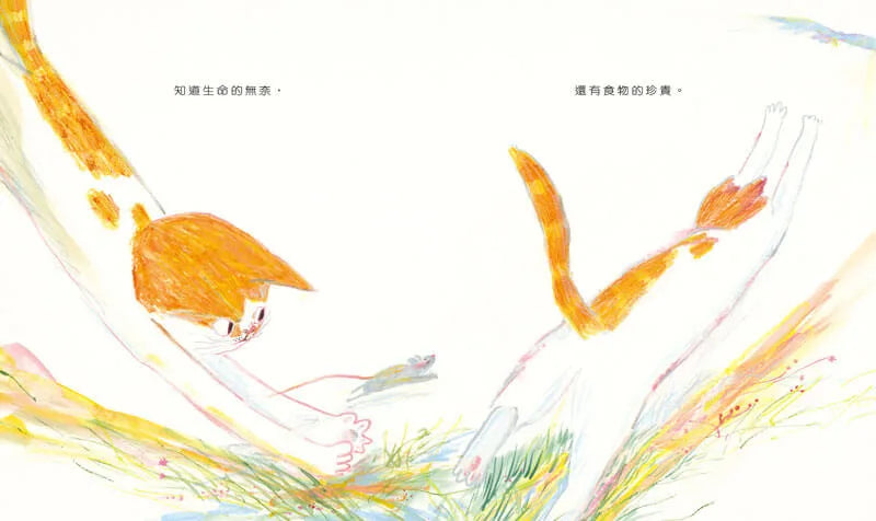 貓什麼都知道