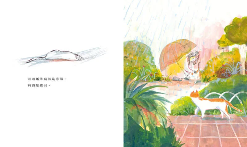 貓什麼都知道