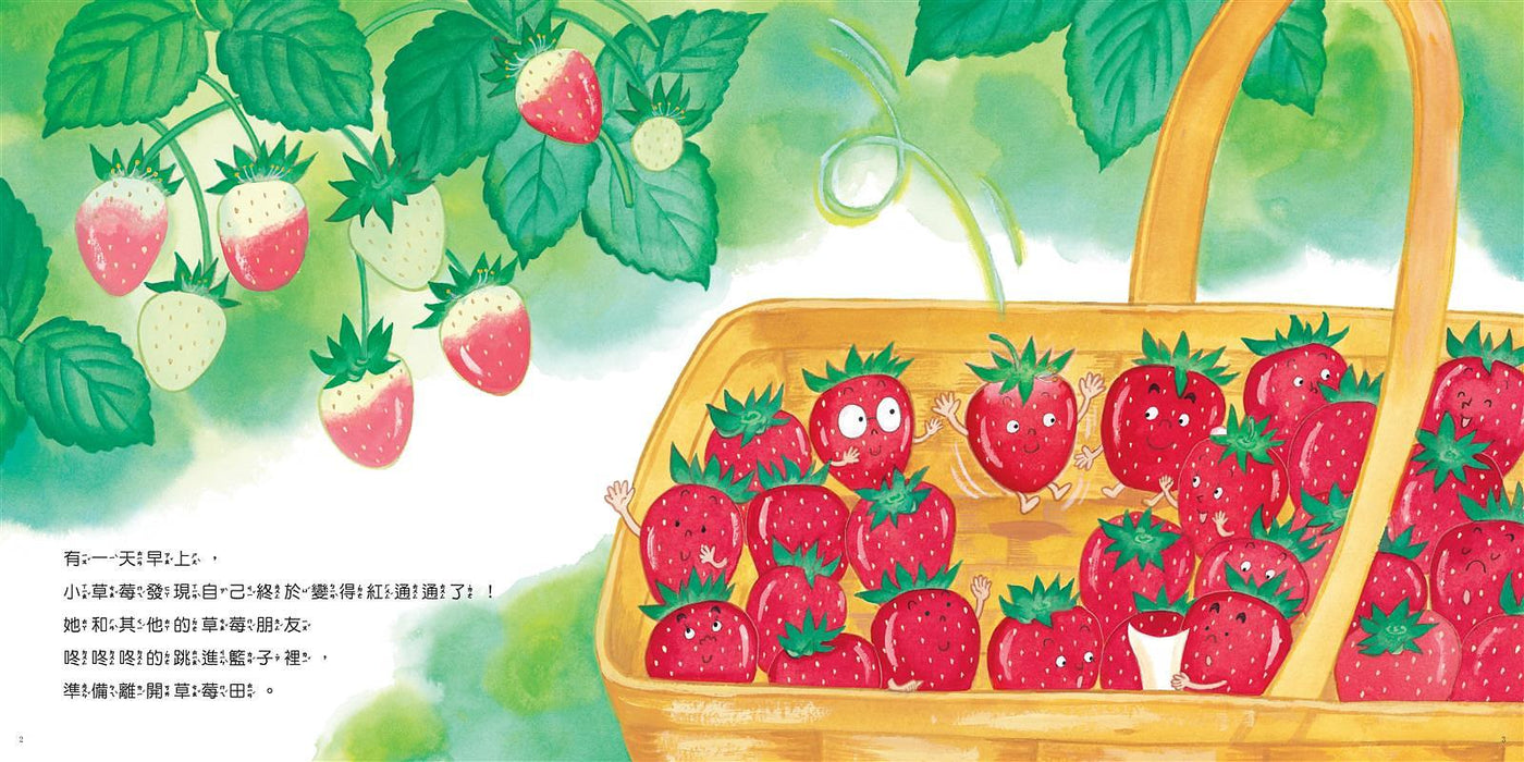 小草莓妳在哪裏