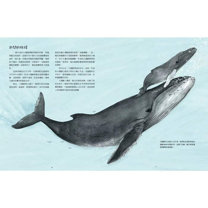 遷徙：動物的驚奇之旅
