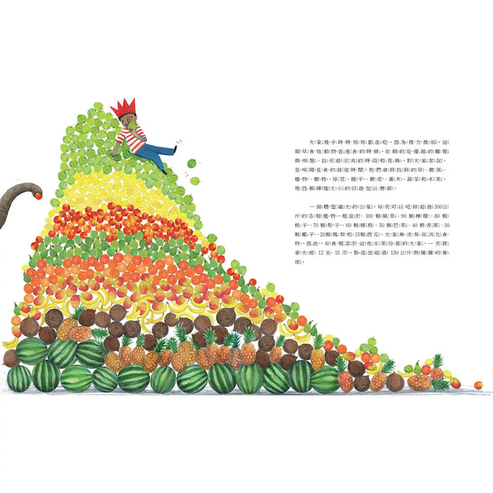 【SDGs繪本】具有高度智商和絕佳記憶力的動物：大象