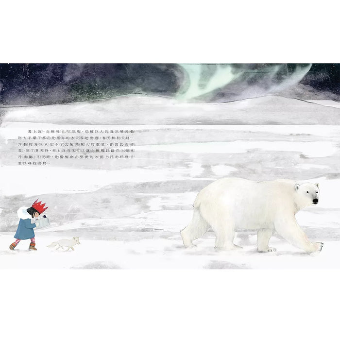 【SDGs繪本】擁有絕佳的方向感的長泳高手：北極熊