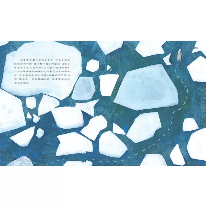 【SDGs繪本】擁有絕佳的方向感的長泳高手：北極熊