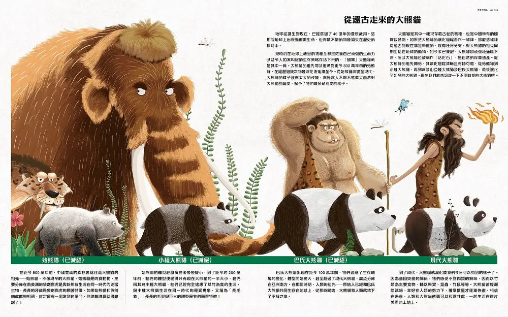 我們的大熊貓：超可愛的大熊貓小百科