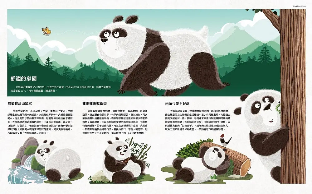 我們的大熊貓：超可愛的大熊貓小百科