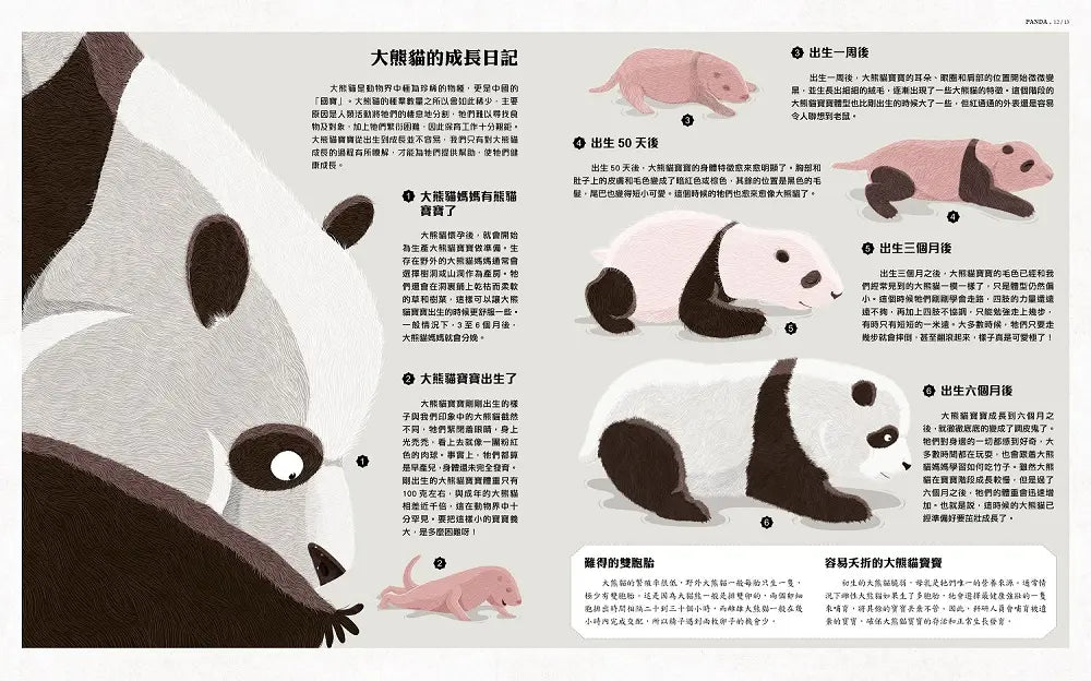 我們的大熊貓：超可愛的大熊貓小百科