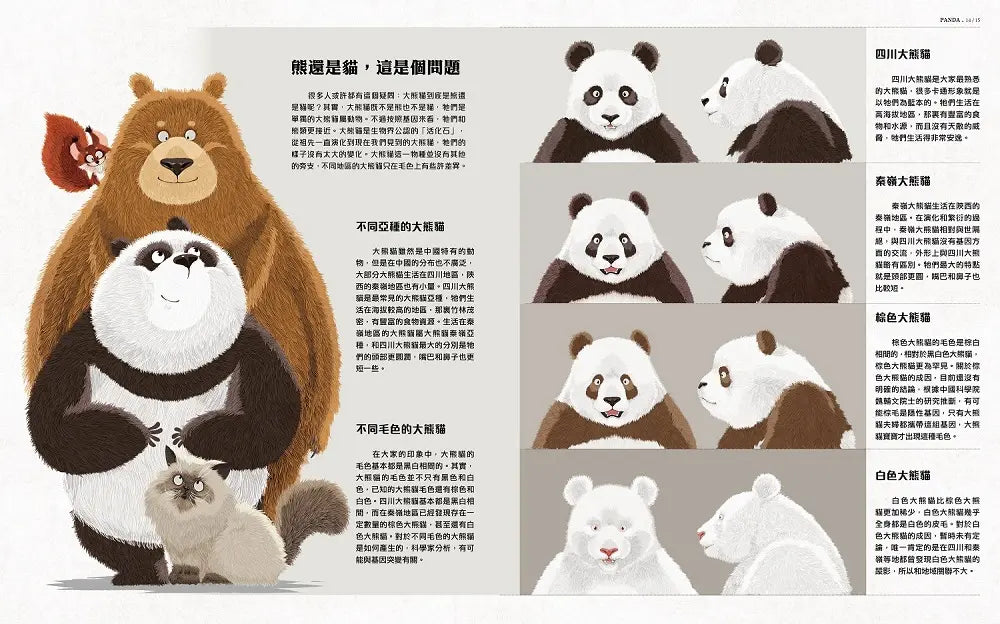我們的大熊貓：超可愛的大熊貓小百科