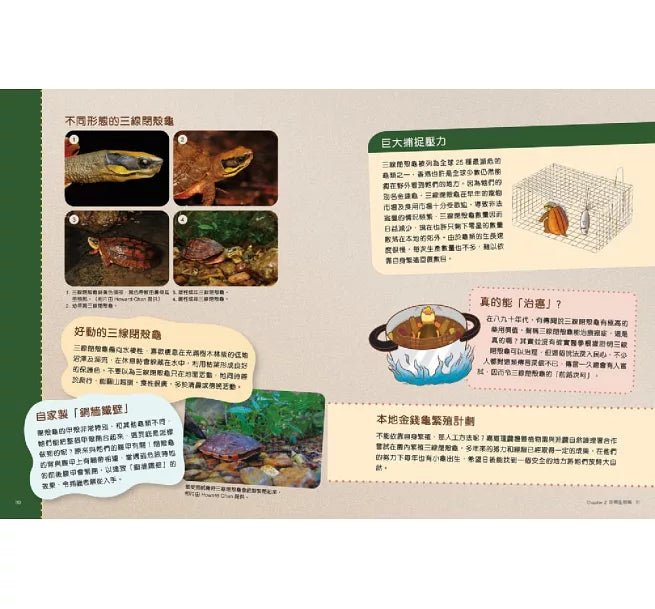 香港珍稀生物小百科