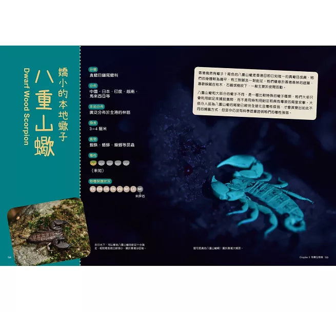 香港珍稀生物小百科