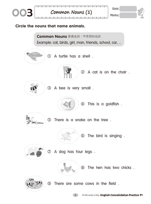 15 Minutes a Day: English Consolidation Practice P1