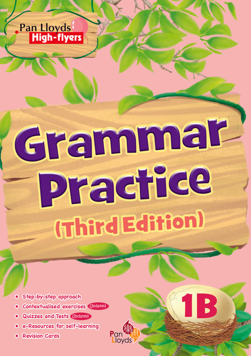 Pan Lloyds High-flyers: Grammar Practice (Third Edition)