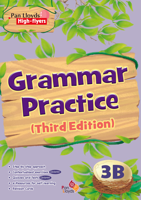 Pan Lloyds High-flyers: Grammar Practice (Third Edition)