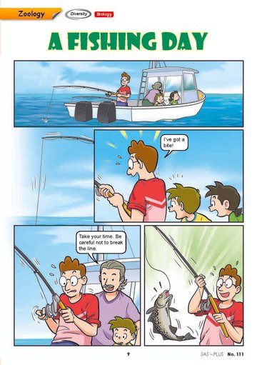 Science Adventures 2024 Plus (Boxset)