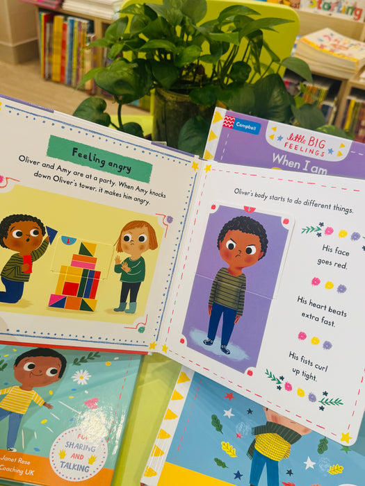 Little Big Feelings 4 Books Set B（Angry, Sad, Happy, Sorry）❣️Christmas deal! Buy both set A+B GET 'Hello Santa' + 'Ten Christmas Buttoms'