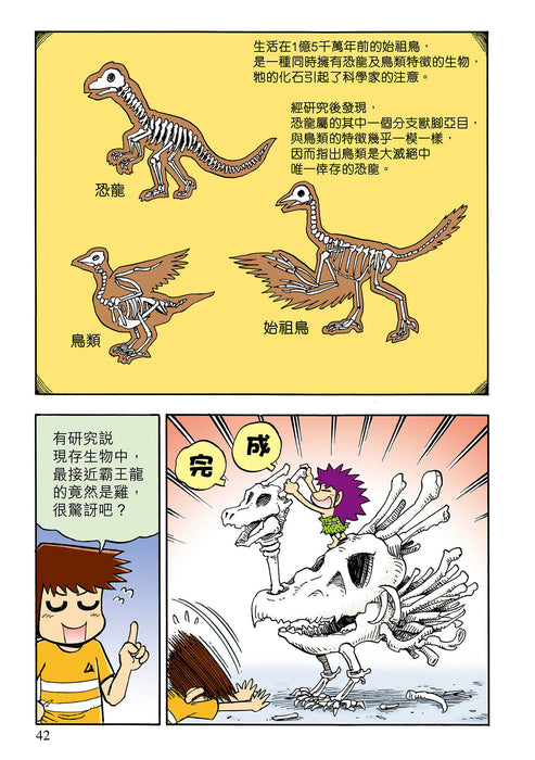 森巴STEM #3 恐龍的知識