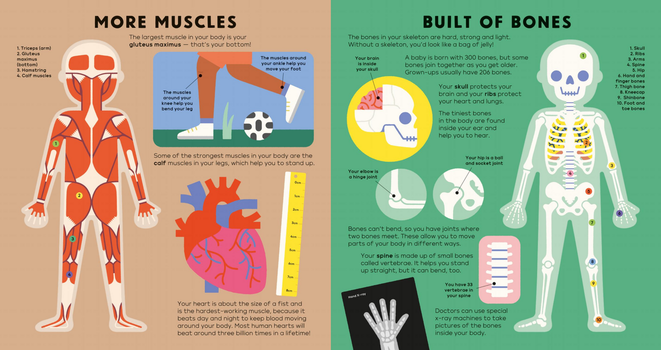 The Body Book, The Earth Book, The Tree Book