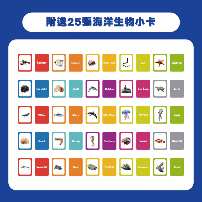 CURIOS® 英文海洋生物配對卡 Matching Flashcard