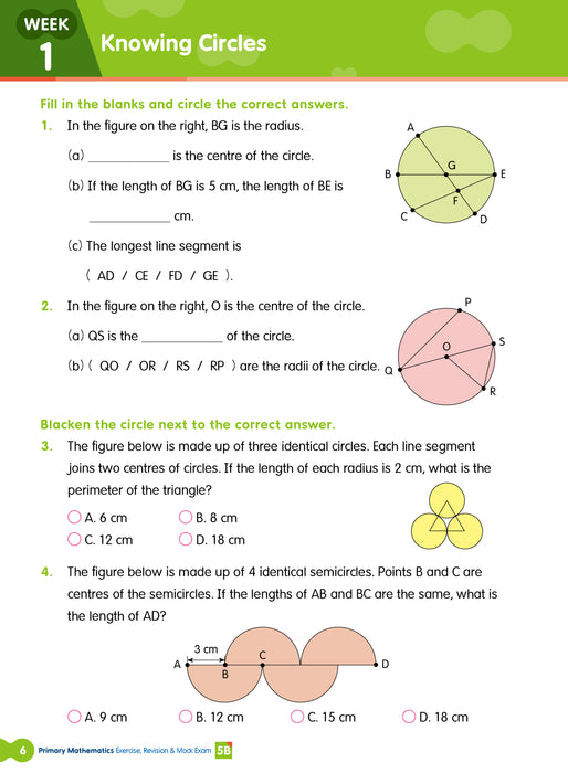 Primary Mathematics: Exercise, Revision & Mock Exam 5B