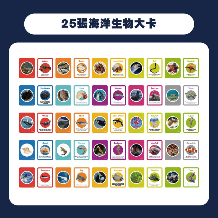 CURIOS® 英文海洋生物配對卡 Matching Flashcard