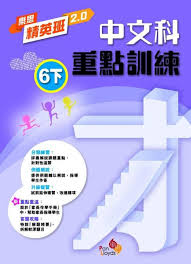 樂思精英班 2.0—中文科重點訓練