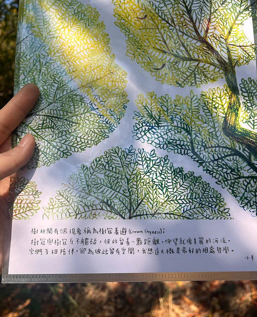小半透明File - Crown Shyness