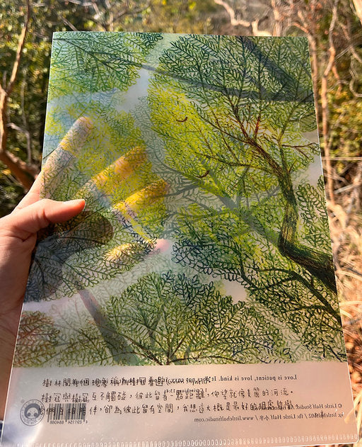 小半透明File - Crown Shyness