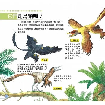 我的第一本動物演化圖鑑8：白堊紀—恐龍帝國的黃昏
