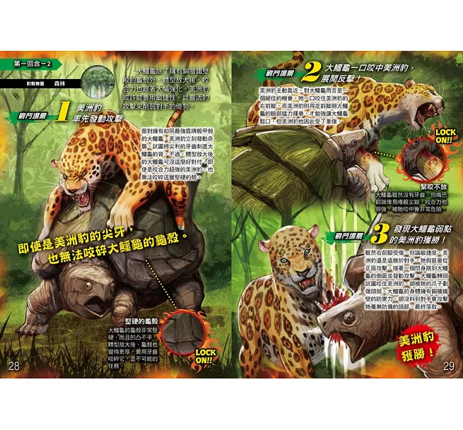 動物最強王圖鑑PFP【附《UMA最強王圖鑑》，一窺神祕未知生物之戰！】：NO.1爭奪淘汰賽