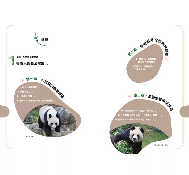 「竹」夢香港——大熊貓與香港的故事
