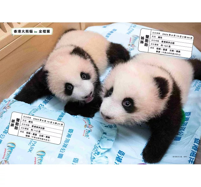 「竹」夢香港——大熊貓與香港的故事