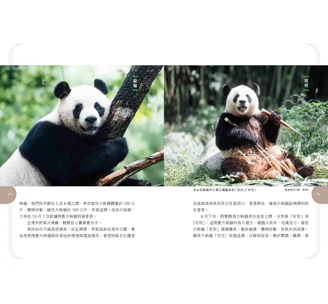 「竹」夢香港——大熊貓與香港的故事