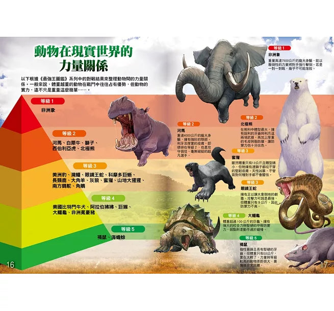 動物最強王圖鑑PFP【附《UMA最強王圖鑑》，一窺神祕未知生物之戰！】：NO.1爭奪淘汰賽