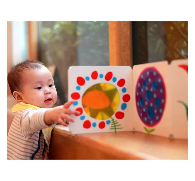 小花園：赫威．托雷光影遊戲書