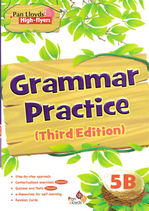 Pan Lloyds High-flyers: Grammar Practice (Third Edition)
