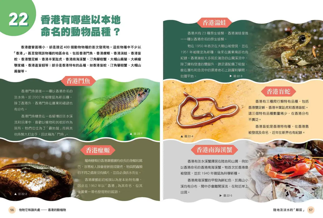 「志」在香港．美麗香港．自然之旅3：他牠它和諧共處—香港的動植物（新版）