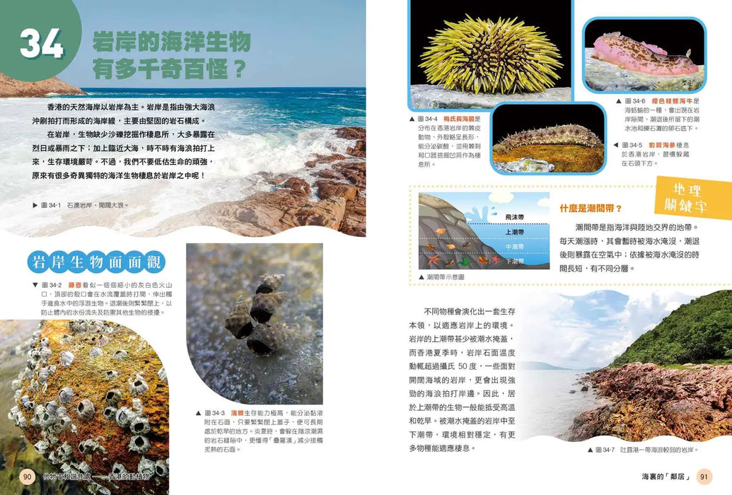 「志」在香港．美麗香港．自然之旅3：他牠它和諧共處—香港的動植物（新版）