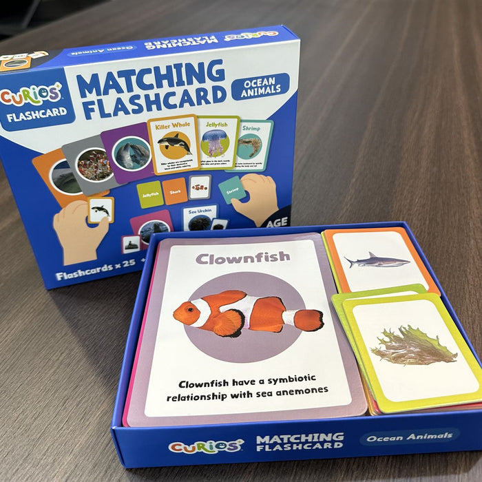 CURIOS® 英文海洋生物配對卡 Matching Flashcard