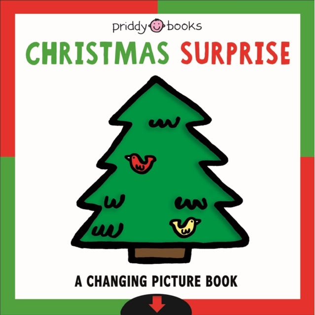 A Changing Picture Book: Christmas Surprise