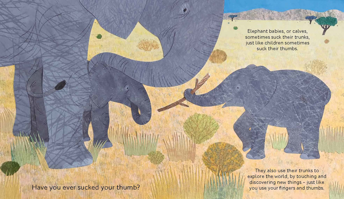 Do Baby Elephants Suck Their Trunks?