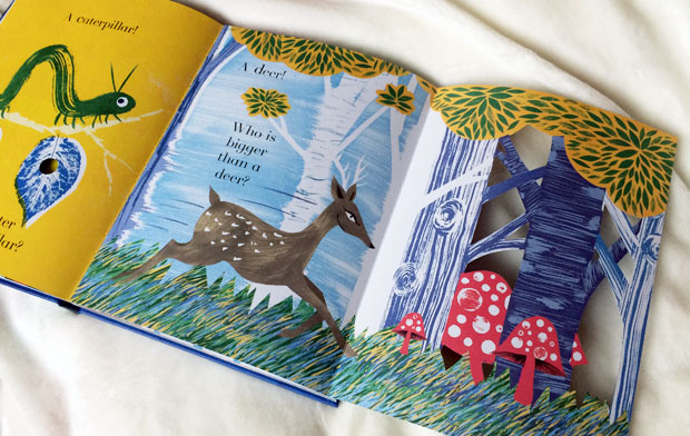 Julia Donaldson 3 Books Gift Set (Animalphabet + Counting Creatures + Colours, Colours Everywhere)