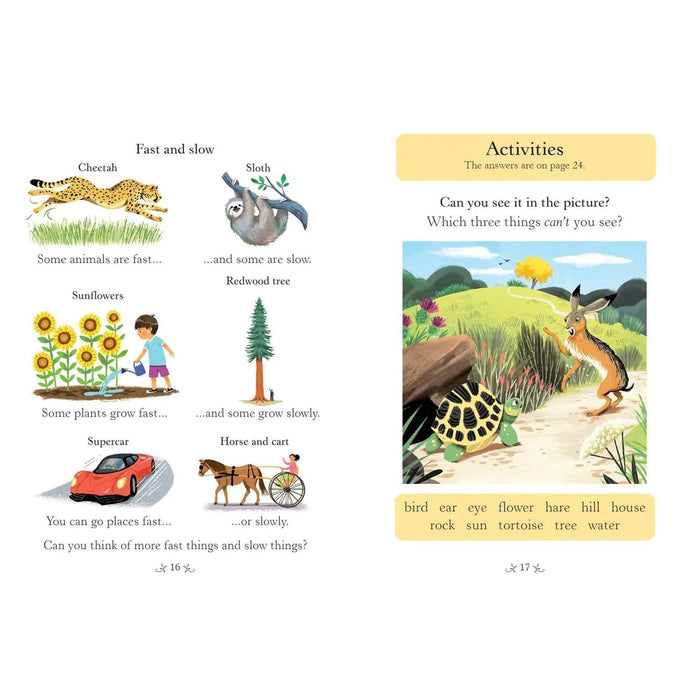 Usborne English Reader Starter Level: The Hare and the Tortoise